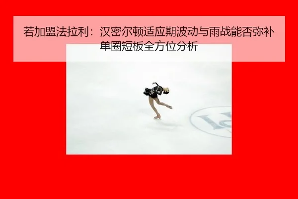 ruo-jia-meng-fa-la-li-han-mi-er-dun-shi-ying-qi-bo-dong-yu-yu-zhan-neng-fou-mi-bu-dan-quan-duan-ban-quan-fang-wei-fen-xi-2-367.jpg