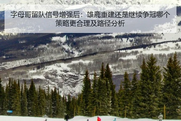 字母哥留队信号增强后：雄鹿重建还是继续争冠哪个策略更合理及路径分析