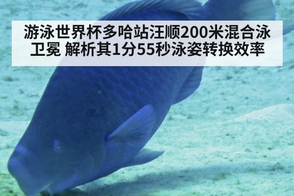 游泳世界杯多哈站汪顺200米混合泳卫冕 解析其1分55秒泳姿转换效率