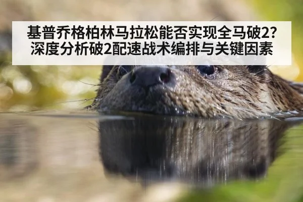 基普乔格柏林马拉松能否实现全马破2?深度分析破2配速战术编排与关键因素